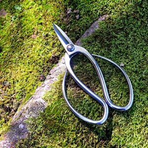 KAKURI Bonsai Trimming Scissors 7.2" (185 mm) Professional Bonsai Tool, Japanese A8 Stainless Steel, Silver, Made in JAPAN