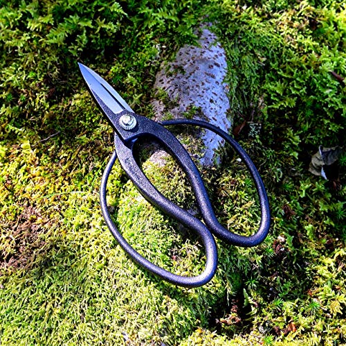 KAKURI Okubo Shears 7" (180 mm) Bonsai Scissors, Flower Arranging Scissors, Japanese Carbon Steel Professional Garden Tool, Black, Made in JAPAN
