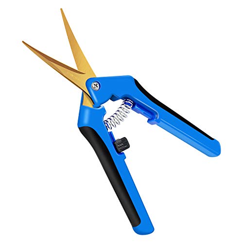 iPower GLPRNR6BLTI 6.5" Pruning Shear Hand Pruner for Gardening Potting with Titanium Coated Curved Precision Blades, 1-Pack, Blue