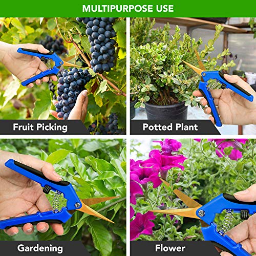 iPower GLPRNR6BLTI 6.5" Pruning Shear Hand Pruner for Gardening Potting with Titanium Coated Curved Precision Blades, 1-Pack, Blue