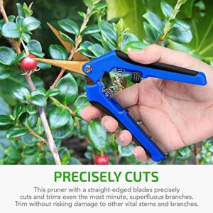 iPower GLPRNR6BLTI 6.5" Pruning Shear Hand Pruner for Gardening Potting with Titanium Coated Curved Precision Blades, 1-Pack, Blue