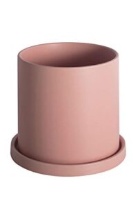 etoocafe planters for indoor plants ceramic flower succulent plant pots with drain hole saucer decor for home office (6 inch pink)