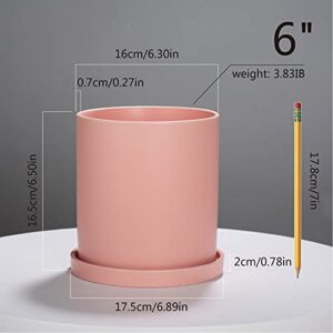 EtooCafe Planters for Indoor Plants Ceramic Flower Succulent Plant Pots with Drain Hole Saucer Decor for Home Office (6 inch Pink)