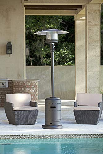 Fire Sense 46,000 BTU Gray Stainless Steel Commercial Patio Heater