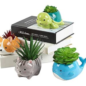 happyEase Succulent Planters - Cute Animal Succulent Pots with Drainage (Set of 4) - Dog Cat Whale Turtle - Small Planter Pot for Indoor Outdoor Decoration, Garden Decor, Indoor Planter, Garden Gifts