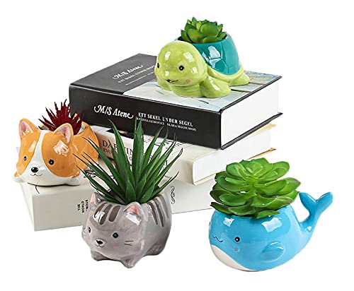 happyEase Succulent Planters - Cute Animal Succulent Pots with Drainage (Set of 4) - Dog Cat Whale Turtle - Small Planter Pot for Indoor Outdoor Decoration, Garden Decor, Indoor Planter, Garden Gifts