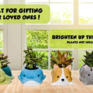 happyEase Succulent Planters - Cute Animal Succulent Pots with Drainage (Set of 4) - Dog Cat Whale Turtle - Small Planter Pot for Indoor Outdoor Decoration, Garden Decor, Indoor Planter, Garden Gifts