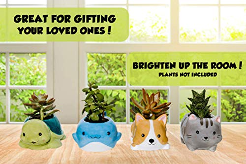 happyEase Succulent Planters - Cute Animal Succulent Pots with Drainage (Set of 4) - Dog Cat Whale Turtle - Small Planter Pot for Indoor Outdoor Decoration, Garden Decor, Indoor Planter, Garden Gifts