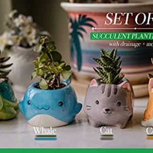 happyEase Succulent Planters - Cute Animal Succulent Pots with Drainage (Set of 4) - Dog Cat Whale Turtle - Small Planter Pot for Indoor Outdoor Decoration, Garden Decor, Indoor Planter, Garden Gifts