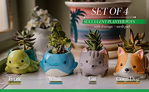 happyEase Succulent Planters - Cute Animal Succulent Pots with Drainage (Set of 4) - Dog Cat Whale Turtle - Small Planter Pot for Indoor Outdoor Decoration, Garden Decor, Indoor Planter, Garden Gifts