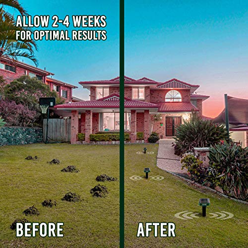 HDGreen Animal Repellent for Garden - Our 4 Pack Rodent, Squirrel, Mole Repellent for Lawns is The Answer for How to Keep Groundhogs Away - Waterproof Pest Repellents to Get Rid of Moles in Your Yard