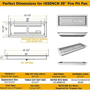 Hisencn Drop-in Fire Pit Kit 30 x 10 Inch, Fire Pit Insert H Burner with Spark Ignition and Propane Hose Kit for Propane Fire Pit, Fire Table Insert, Indoor or Outdoor Decorative Fireplace