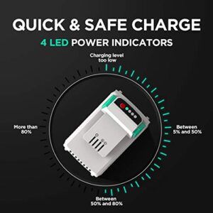 Litheli Battery Pack 40V, 2.5Ah Replacement Lithium Batteries, Only Fit for Litheli 40V Power Tools and Outdoor Power Equipment