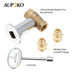 Aupoko Fire Pit Installation Kit with 90K BTU Propane Gas Valve Control Assembly System Kit, Including 1/2' Chrome Key and Quarter-Turn Shut-Off Valve, Replacement for Propane Gas Connection