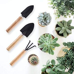 3-Piece Mini Garden Plant Tools Sets, Small Shovel Rake Spade Wood Handle for Loose Succulents Potted Flower Seedling Soil Garden Tool Sets