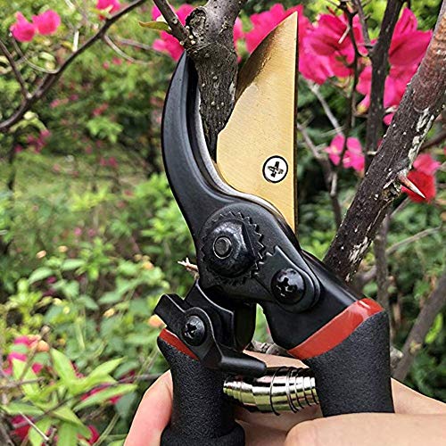 GYDXJGJ Gardening Fruit Shears Multi-Function Tree Branch Shears Garden Shears Anti-Slip and Labor-Saving Manual Pruning Shears Tools