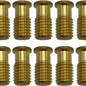 Poolzilla 10 Pack Pool Safety Cover Threaded Brass Insert Screw Bolt for Anchor