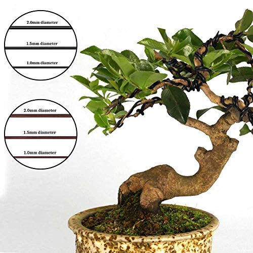 Pumbaa 5rolls Garden Plants Flexible Easy Bending Bonsai Training Wire Set Anodized Aluminum Tree Holding Branch Starter 147 Feet Total - Bronze