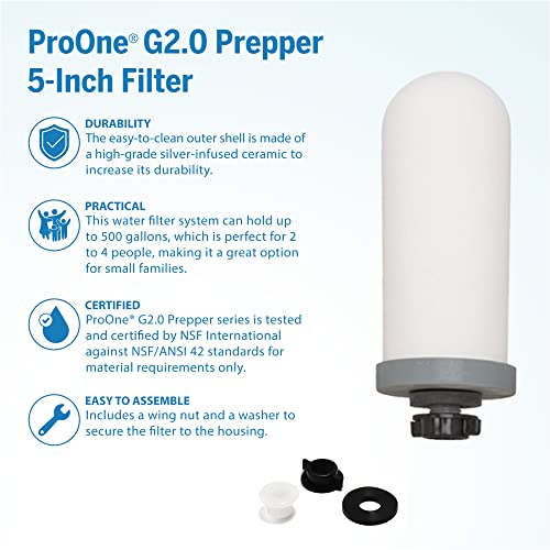 ProOne Pair of 5-inch Prepper Replacement Filters for ProOne Scout II Gravity Water Filter System, Independently Tested Proven to Reduce PFAS