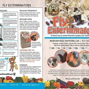 Fly Exterminators 25,000 Size NaturesGoodGuys