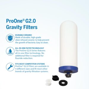 ProOne G2.0 9-Inch Gravity Water Replacement Filter for Big+ Countertop Gravity Water Filtration Systems, 2 Pack, Independently Tested Proven to Reduce PFAS
