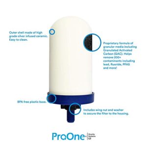 ProOne G2.0 7-Inch Gravity Water Replacement Filter for Big+ or Big II Countertop Gravity Water Filtration Systems, 2 Pack, Independently Tested Proven to Reduce PFAS.