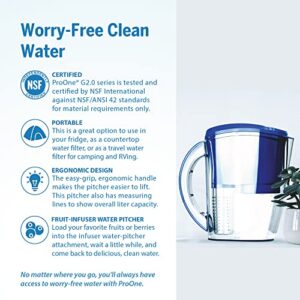 ProOne Water Filter Pitcher with Fruit Infuser, Filtered Water Pitcher for Kitchen, Office, Camping, or RVing, Independently Tested Proven to Reduce PFAS.