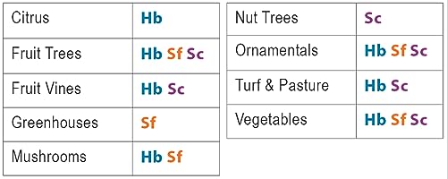 Natures Good Guys Beneficial nematodes Heterorhabditis bacteriophora 5 Million