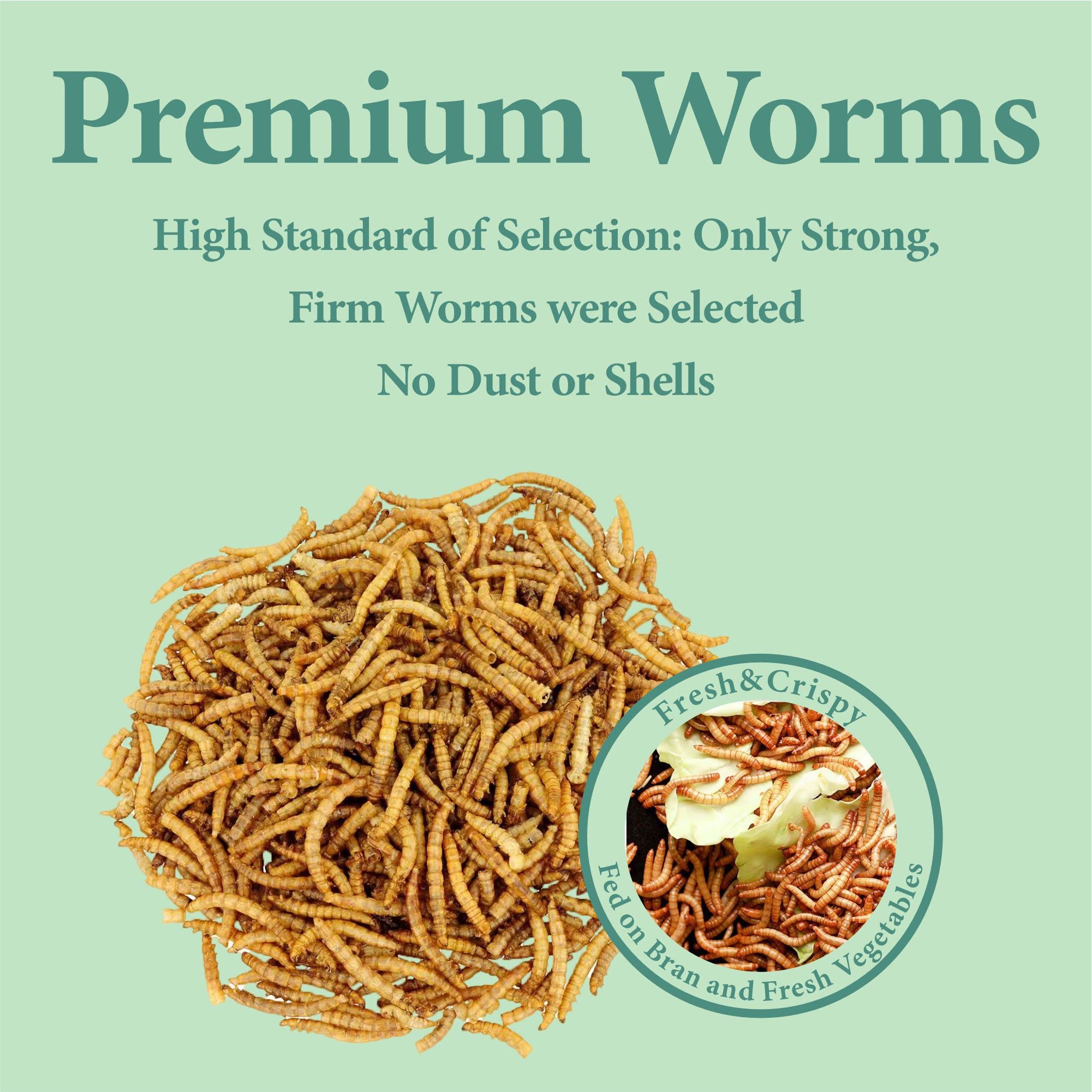 WORMSKING 2LB Dried Mealworms for Chickens, Wild Birds, Hedgehogs, Bird Feeder, Great Chicken Treats, Tasty Bird Food