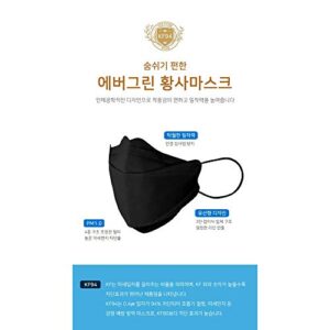 [10 Pack] CLEANTOP KF94 Disposable Individual Package Face Mask for Adults, Single Use Dust mask - Large/Black