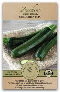gaea's blessing seeds - zucchini seeds - non-gmo - with easy to follow planting instructions - heirloom black beauty summer squash 97% germination rate