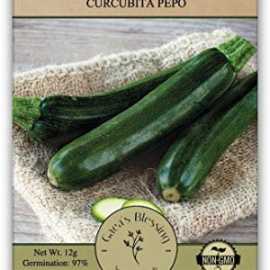 Gaea's Blessing Seeds - Zucchini Seeds - Non-GMO - with Easy to Follow Planting Instructions - Heirloom Black Beauty Summer Squash 97% Germination Rate