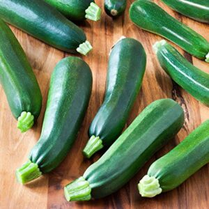 Gaea's Blessing Seeds - Zucchini Seeds - Non-GMO - with Easy to Follow Planting Instructions - Heirloom Black Beauty Summer Squash 97% Germination Rate