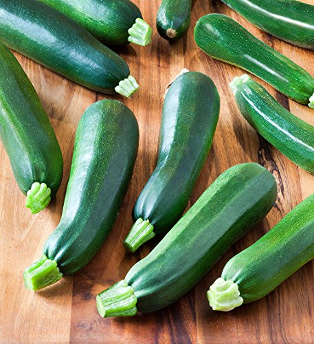 Gaea's Blessing Seeds - Zucchini Seeds - Non-GMO - with Easy to Follow Planting Instructions - Heirloom Black Beauty Summer Squash 97% Germination Rate