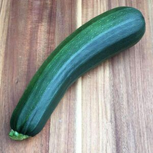Gaea's Blessing Seeds - Zucchini Seeds - Non-GMO - with Easy to Follow Planting Instructions - Heirloom Black Beauty Summer Squash 97% Germination Rate