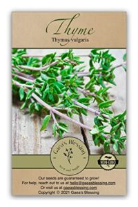 gaea's blessing seeds - thyme seeds - non-gmo - with easy to follow planting instructions - herb thymus vulgaris 350mg 90% germination