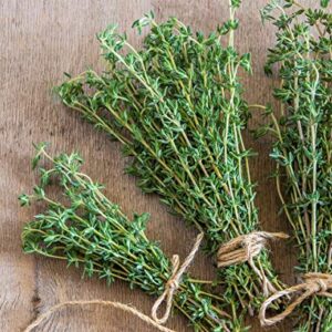 Gaea's Blessing Seeds - Thyme Seeds - Non-GMO - with Easy to Follow Planting Instructions - Herb Thymus Vulgaris 350mg 90% Germination