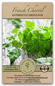 gaea's blessing seeds - chervil seeds - non-gmo seeds with easy to follow planting instructions - open-pollinated french high yield heirloom 92% germination rate 1.6g
