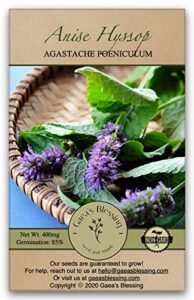 gaea's blessing seeds - anise hyssop herb seeds - non-gmo seeds with easy to follow planting instructions - open-pollinated heirloom high germination rate 96% germination rate 400mg