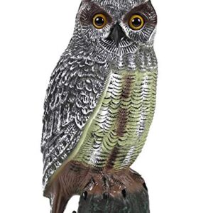 Galashield Owl Decoy | Plastic Owls to Scare Birds Away | Owl Statue for Garden & Outdoors