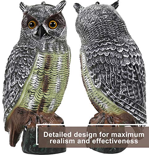 Galashield Owl Decoy | Plastic Owls to Scare Birds Away | Owl Statue for Garden & Outdoors