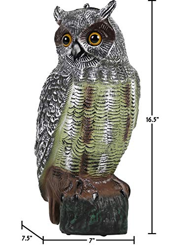 Galashield Owl Decoy | Plastic Owls to Scare Birds Away | Owl Statue for Garden & Outdoors