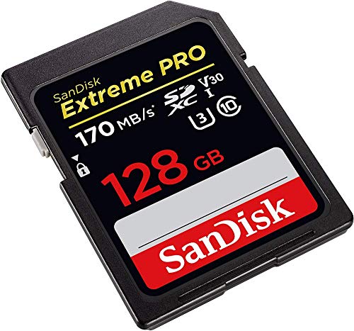 SanDisk Extreme Pro 128GB SDXC Card for Canon Camera Compatible with EOS M50 Mark II, EOS Ra Class 10 UHS-1 (SDSDXXY-128G-GN4IN) Bundle with (1) Everything But Stromboli 3.0 SD Memory Card Reader