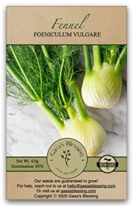 gaea's blessing seeds - fennel seeds (2.0g) - non-gmo seeds with easy to follow planting instructions - herb seeds 85% germination rate