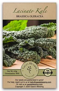 gaea's blessing seeds - lacinato kale seeds - non-gmo seeds with easy to follow planting instructions - open pollinated, 94% germination rate