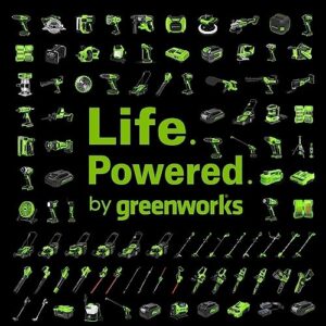 Greenworks 24V 2.0Ah Lithium-Ion Battery (Genuine Greenworks Battery / 125+ Compatible Tools)