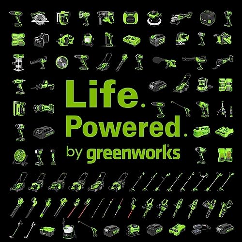 Greenworks 24V 2.0Ah Lithium-Ion Battery (Genuine Greenworks Battery / 125+ Compatible Tools)