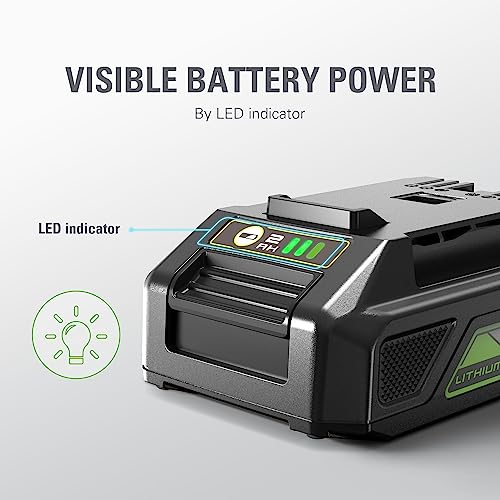 Greenworks 24V 2.0Ah Lithium-Ion Battery (Genuine Greenworks Battery / 125+ Compatible Tools)