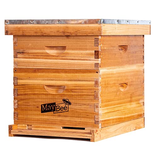 Bee Hive 10 Frame Bee Hives and Supplies Starter Kit, Bee Hive for Beginner, Honey Bee Hives Includes 1 Deep Bee Boxes, 1 Bee Hive Super with Beehive Frames and Foundation