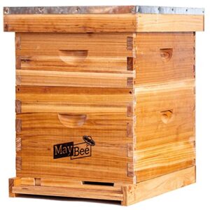 bee hive 10 frame bee hives and supplies starter kit, bee hive for beginner, honey bee hives includes 1 deep bee boxes, 1 bee hive super with beehive frames and foundation